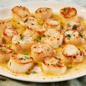 Scallops